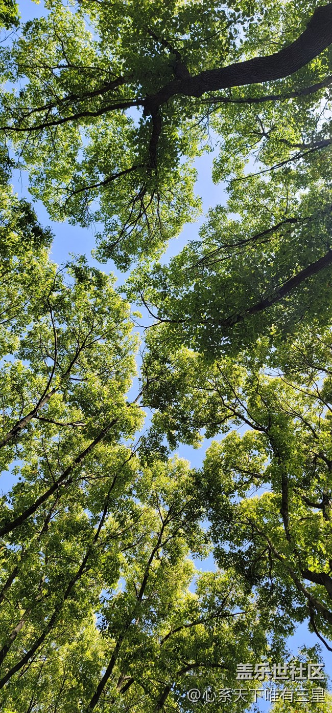 【擁抱自然】溪水清冷，鳥(niǎo)語(yǔ)嬋鳴