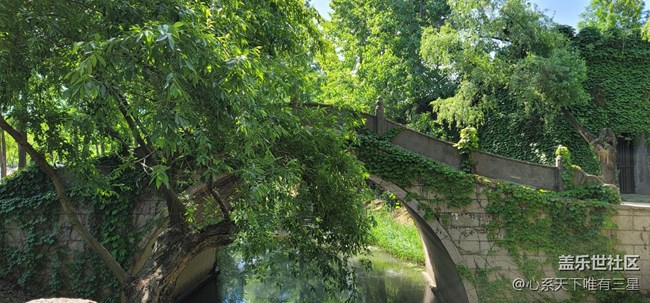 【擁抱自然】溪水清冷，鳥(niǎo)語(yǔ)嬋鳴