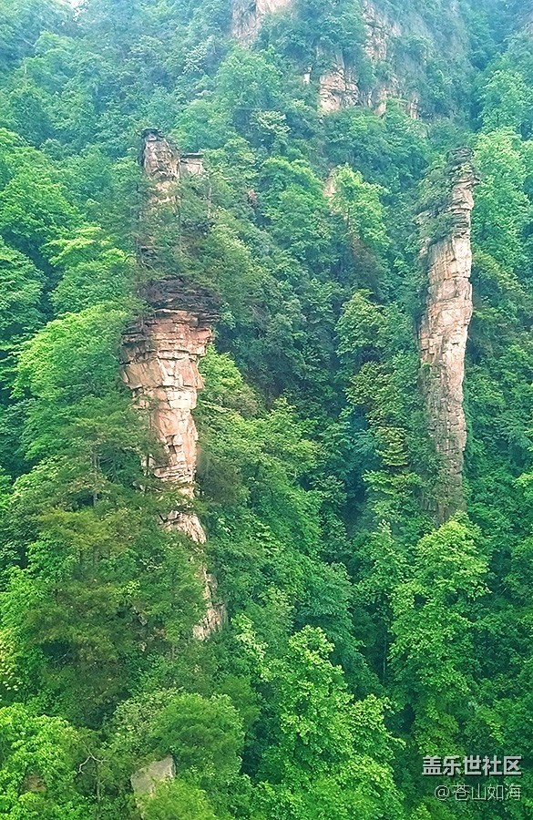 【擁抱自然】秀麗山色