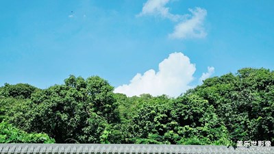 【陽(yáng)光燦爛的日子】+ 周末隨拍

