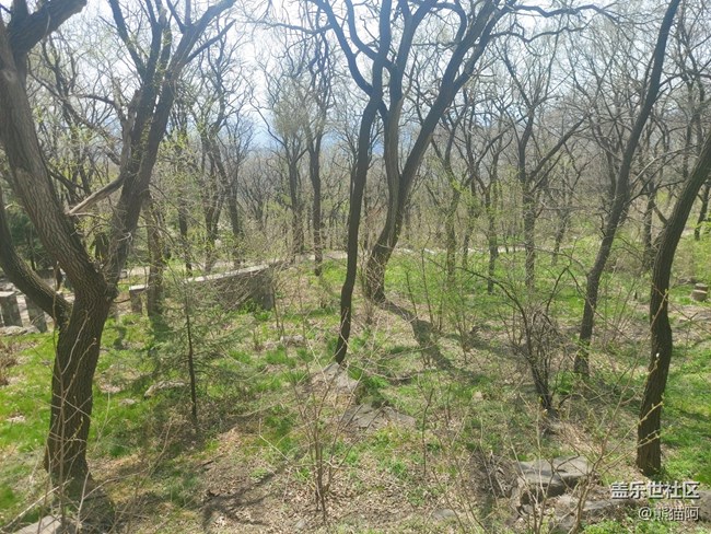 【登高望遠(yuǎn)】爬山