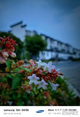 加了個(gè)相框