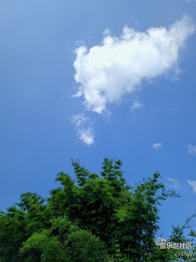 【歡樂一刻】享受天然氧吧