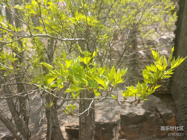 【登高望遠(yuǎn)】爬山