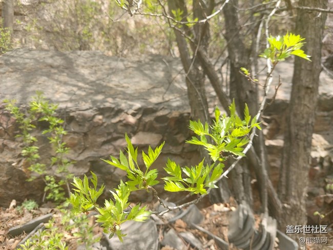 【登高望遠(yuǎn)】爬山