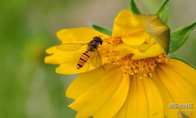 批注 2023-05-29 112533.jpg