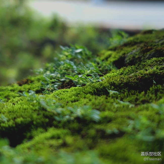【鏡頭里的美好】地理雜志配圖