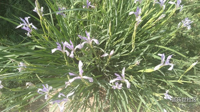 【鏡頭里的美好】曾經(jīng)的美好無處不在