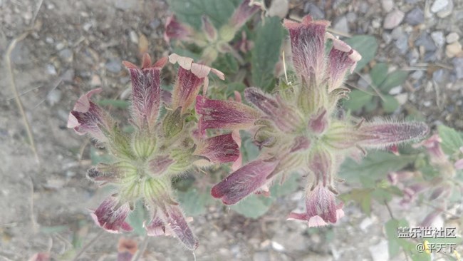 【鏡頭里的美好】曾經(jīng)的美好無處不在