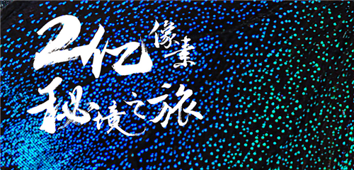 镜头下不止有自然全貌，壮阔山海