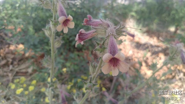 【鏡頭里的美好】曾經(jīng)的美好無處不在