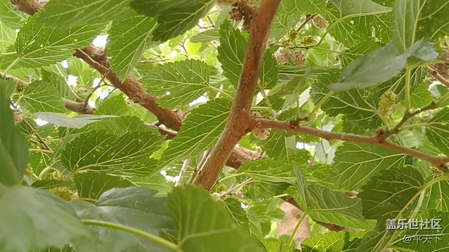 【鏡頭里的美好】曾經(jīng)的美好無處不在