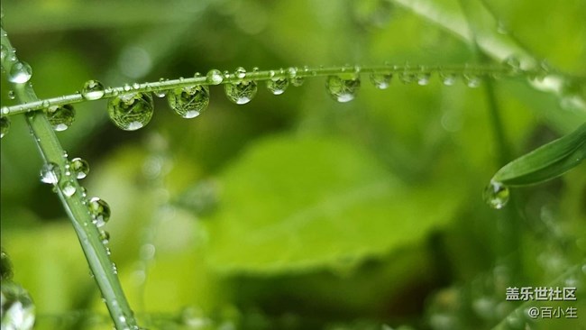 批注 2023-05-29 112531.jpg