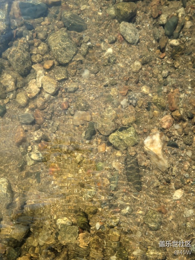 【擁抱自然】鵝卵石