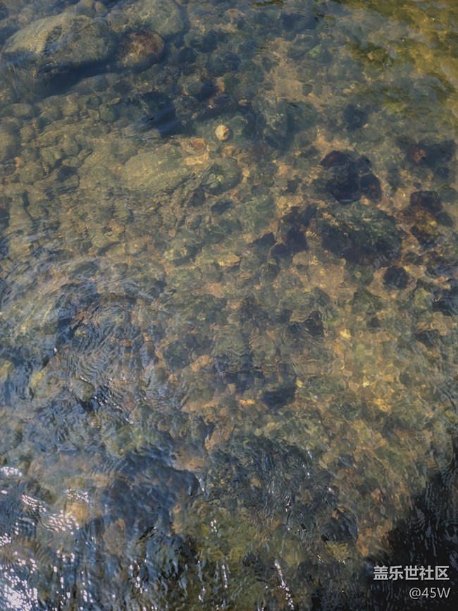 【擁抱自然】鵝卵石