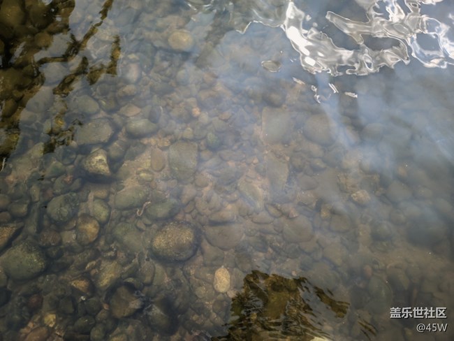 【擁抱自然】鵝卵石