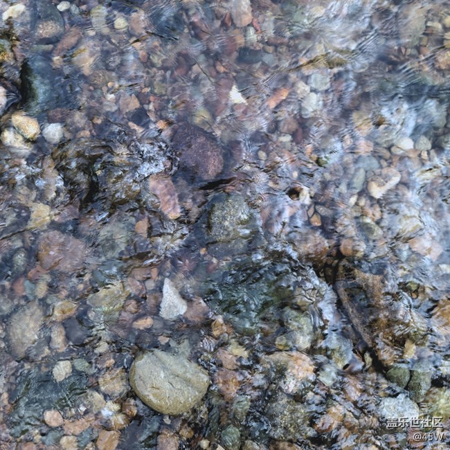 【擁抱自然】鵝卵石