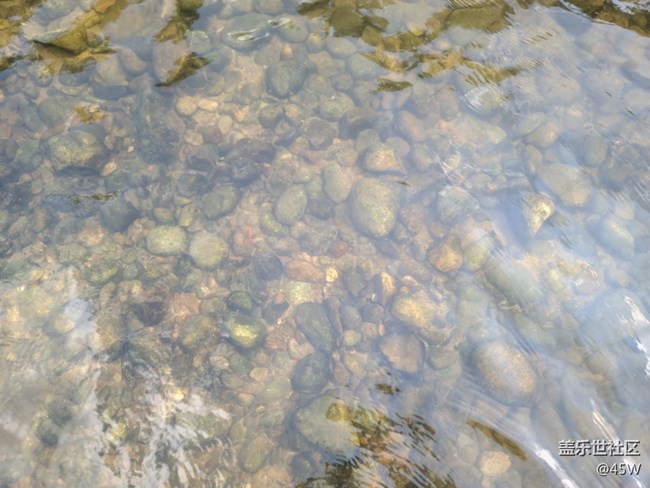 【擁抱自然】鵝卵石