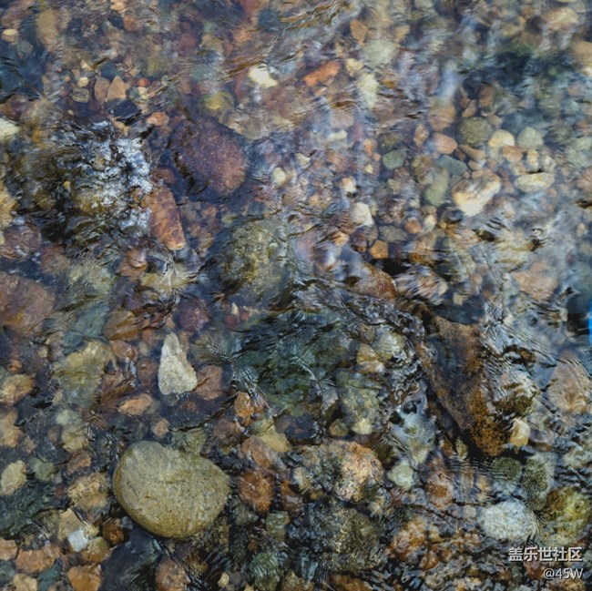 【擁抱自然】鵝卵石