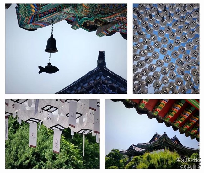 Samsung Members Connect in Seoul 活動回顧