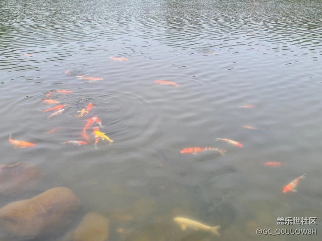 【歡樂一刻】仙湖植物園的一天