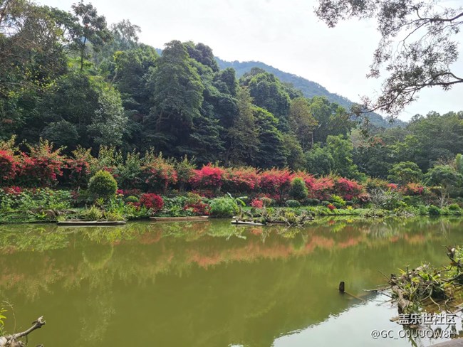 【歡樂一刻】仙湖植物園的一天