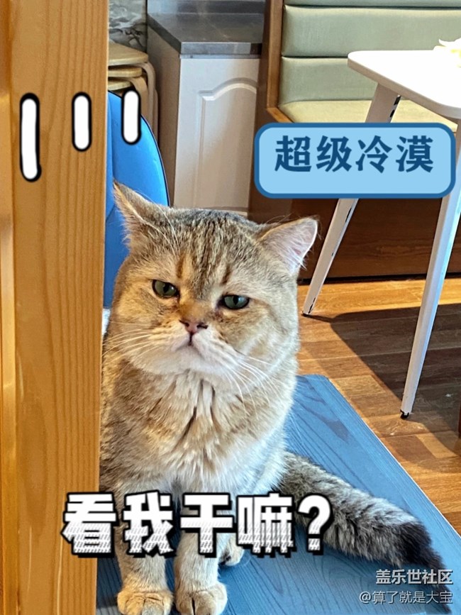 【同城活動(dòng)】新老朋友大PK 結(jié)果很意外！還有喵星人??