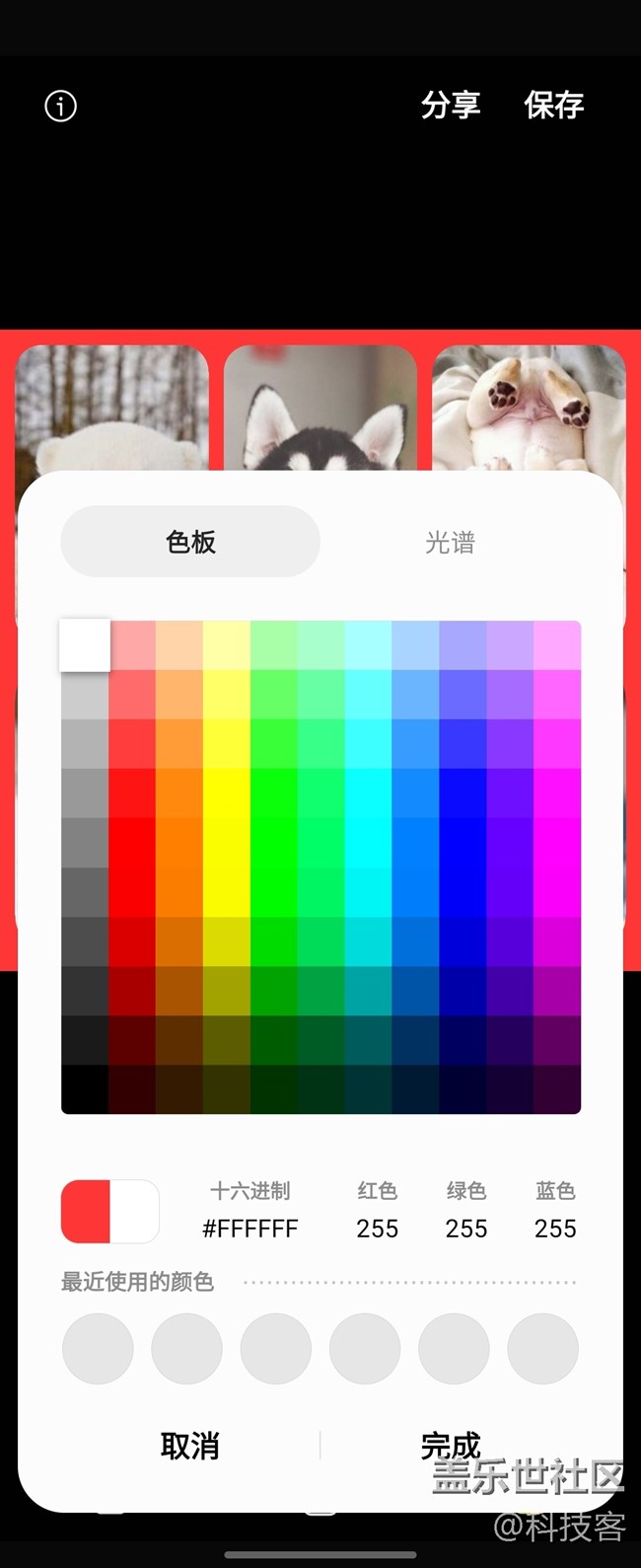 三星Z Flip4圖片拼接功體驗