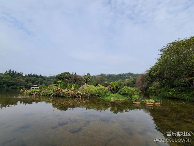 【歡樂一刻】仙湖植物園的一天