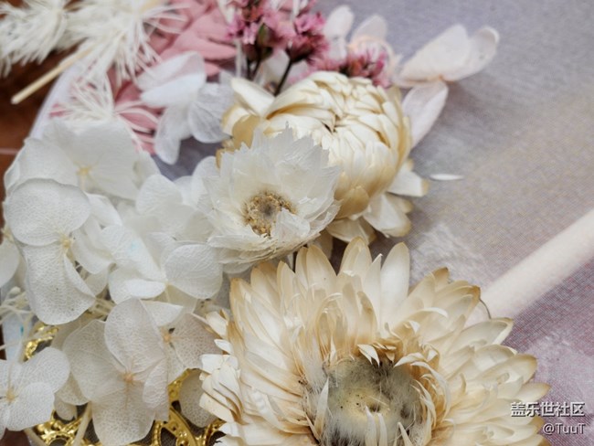 【團(tuán)扇攝影活動(dòng)】+制作全過程