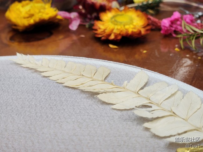 【團(tuán)扇攝影活動(dòng)】+制作全過程