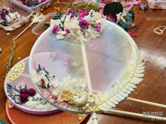 【團(tuán)扇攝影活動(dòng)】+制作全過程