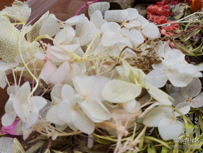 【團(tuán)扇攝影活動】+制作材料