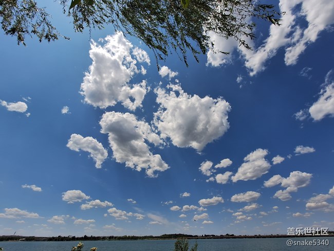 品鑒三星A54…丁香湖攝影回顧