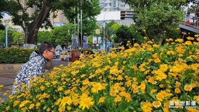 【用鏡頭講述】+?美麗風景