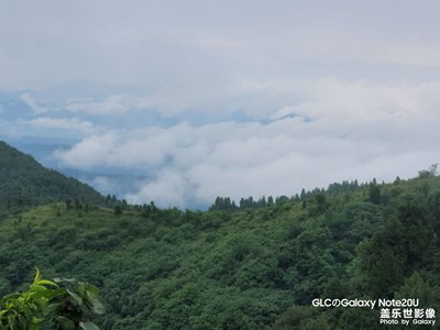【用鏡頭講述】+ 南山云海