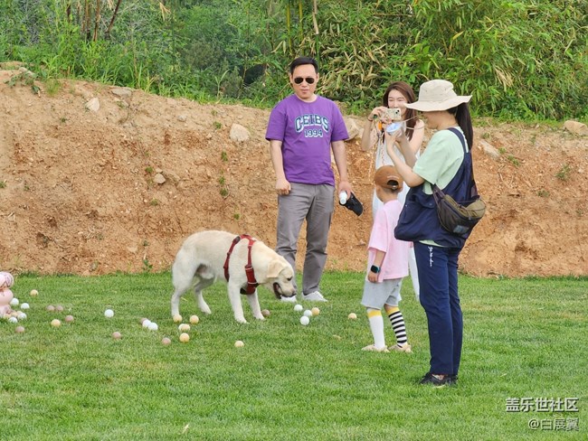 【我的毛孩子】淘氣又可愛