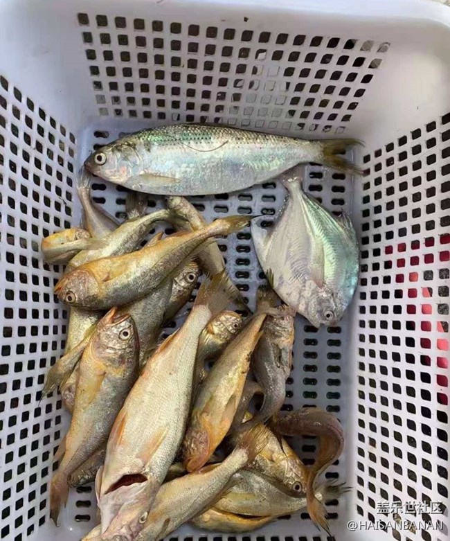 【歡樂(lè)一刻】出海