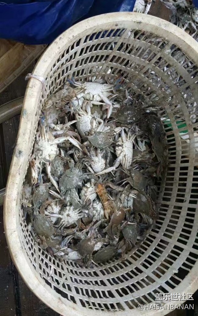 【歡樂(lè)一刻】出海