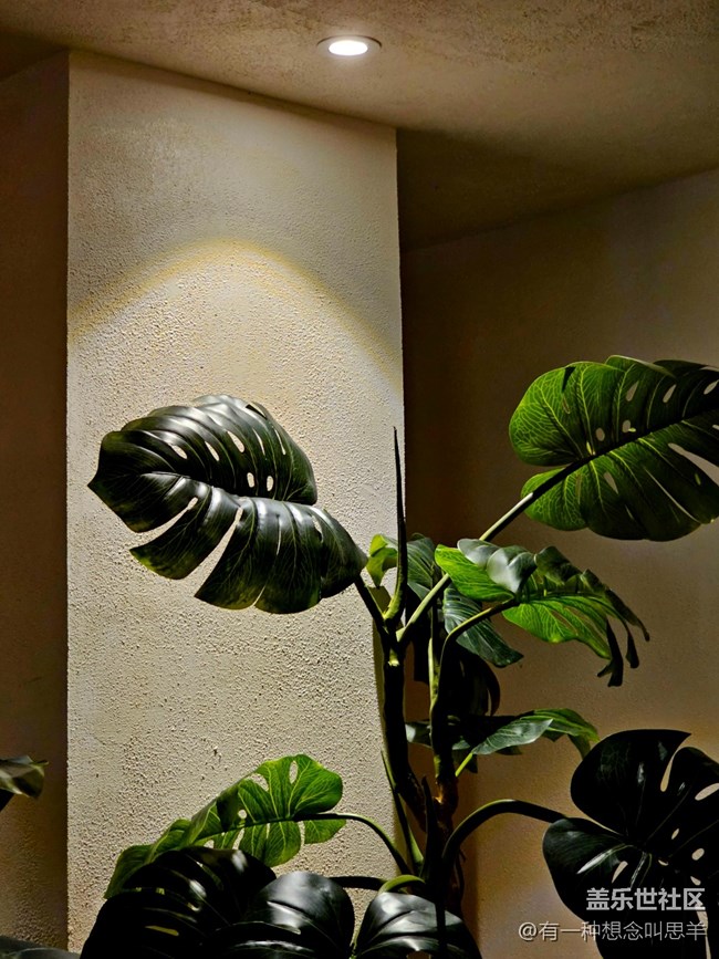 A54建筑攝影回顧