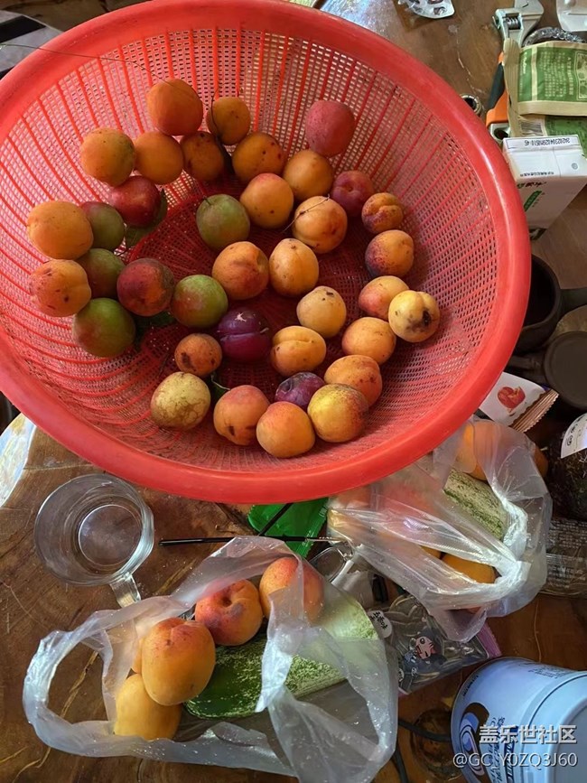 【夏日果實(shí)】夏季水果