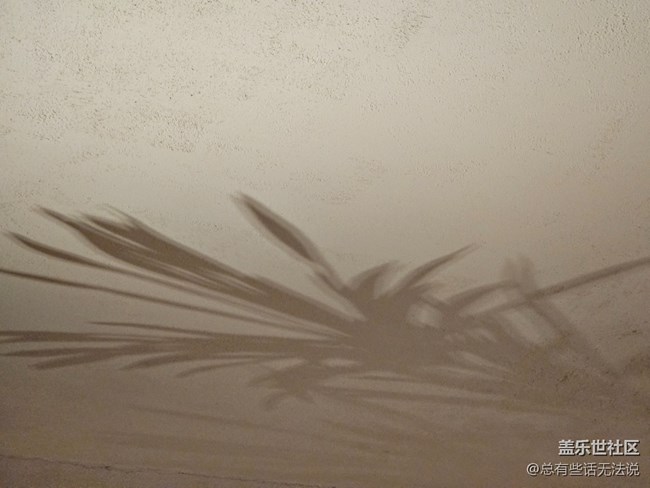 沈陽活動(dòng)之建筑攝影品鑒A54