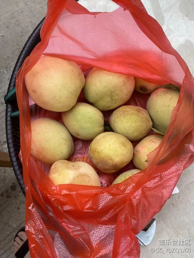 【夏日果實(shí)】夏季水果