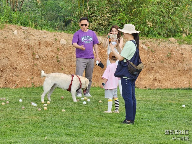 【我的毛孩子】淘氣又可愛