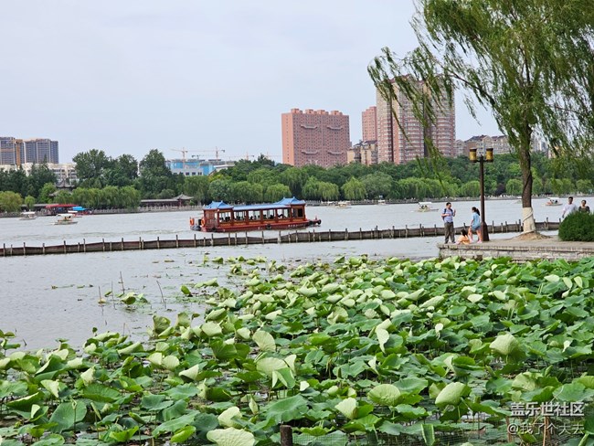 大明湖活动