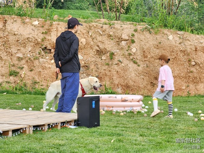 【我的毛孩子】淘氣又可愛