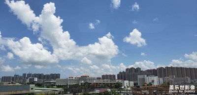 隨手拍