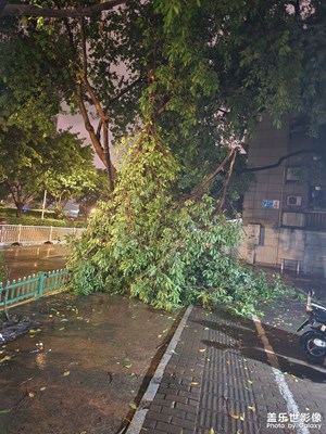 暴雨