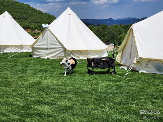 【擁抱自然】忙里偷閑擁抱自然