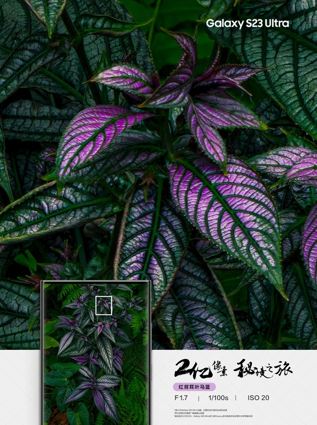 微信掃一掃，探索2億像素秘境之旅